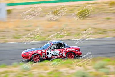 media/May-04-2025-Lucky Dog Racing (Sun) [[21629467aa]]/Turn 5 (930-10am)/